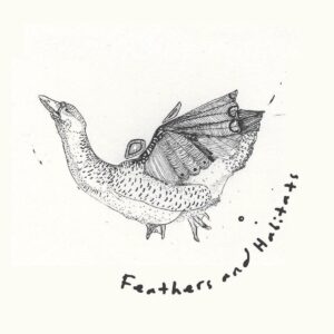 Cover artwork for "Feathers and Habitats" EP by Billy Palmer.