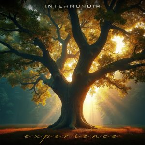 Artwork for "Experience" from Intermundia.
