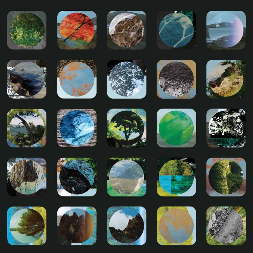 Cover artwork for "She Looks Up at the Trees" album from the J.A.M. String Collective.