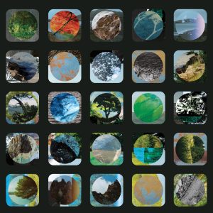 Cover artwork for "She Looks Up at the Trees" album from the J.A.M. String Collective.