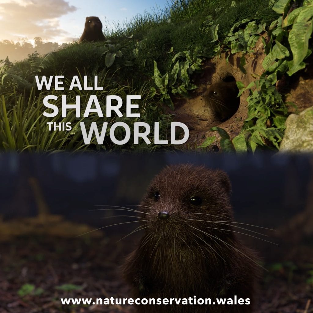 Artwork for "Help Save Our Upland Water Voles"