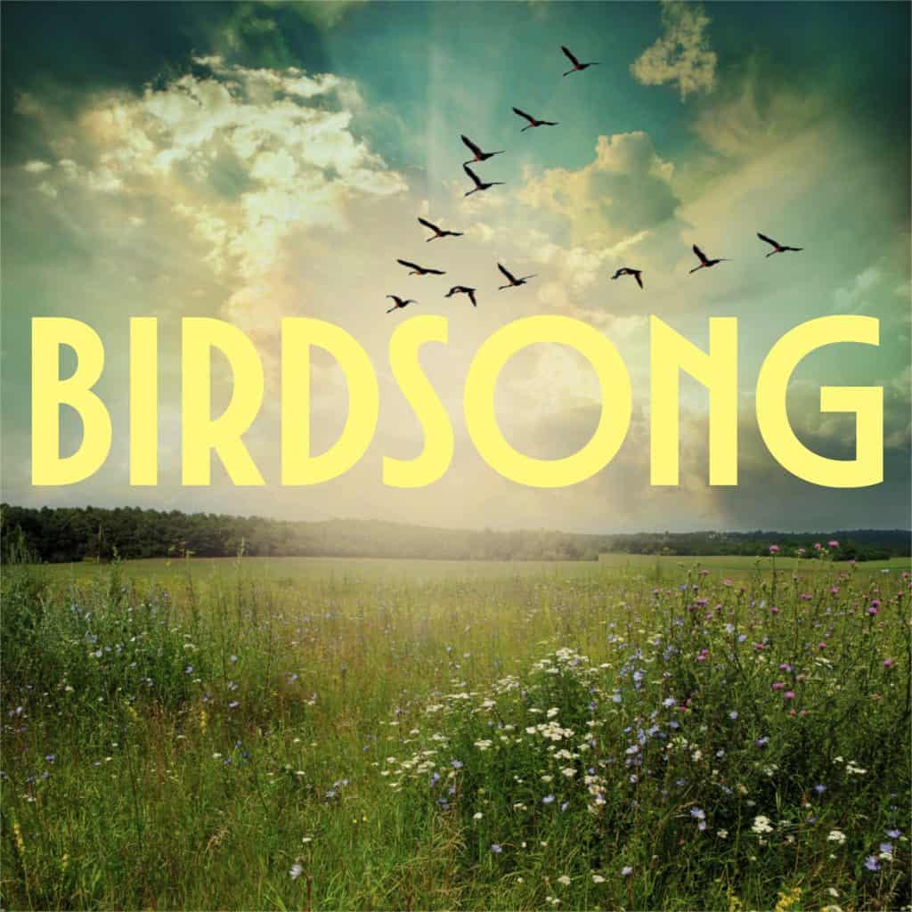 Cover artwork for "Birdsong" EP from Sarah Blair