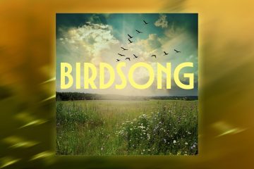 Blog post artwork for "Birdsong" EP from Sarah Blair