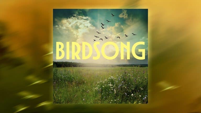 Blog post artwork for "Birdsong" EP from Sarah Blair